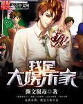 我是大娱乐家盗版